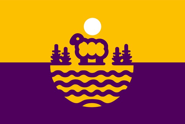 vlag